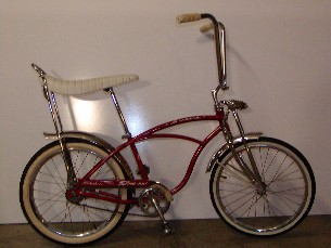 schwinn raleigh bike