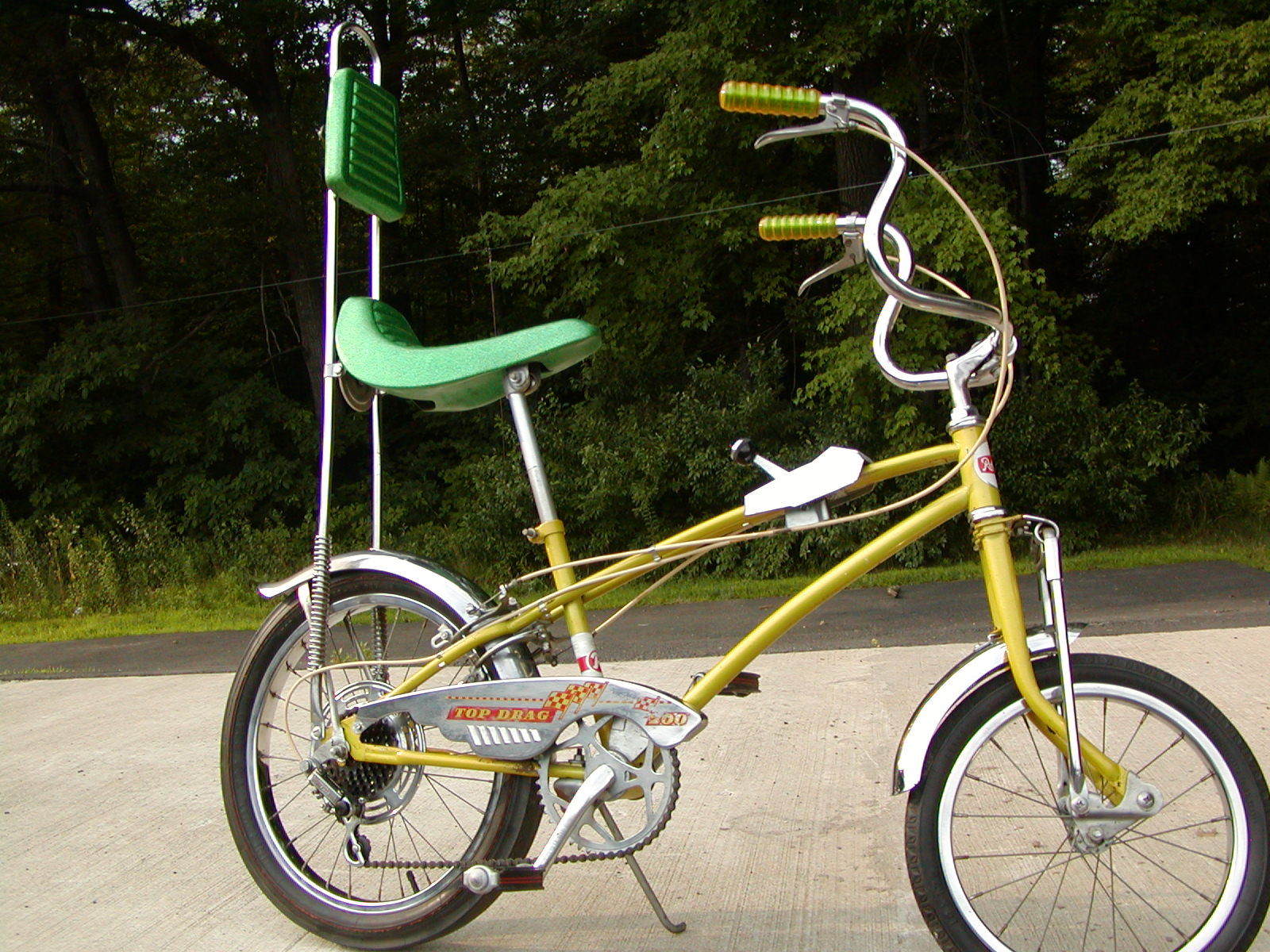 sissy bar bicycle